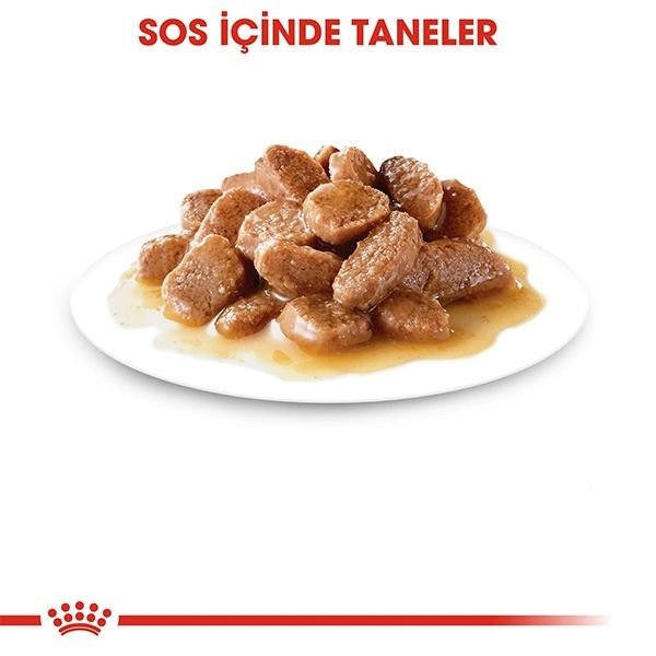 Royal Canin Ageing + 12 Gravy Pouch Yaşlı Konserve Kedi Maması