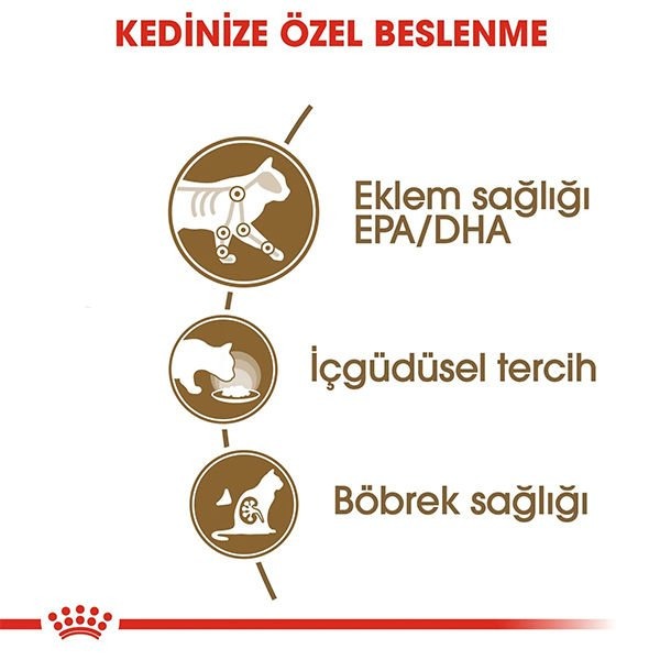 Royal Canin Ageing + 12 Gravy Pouch Yaşlı Konserve Kedi Maması