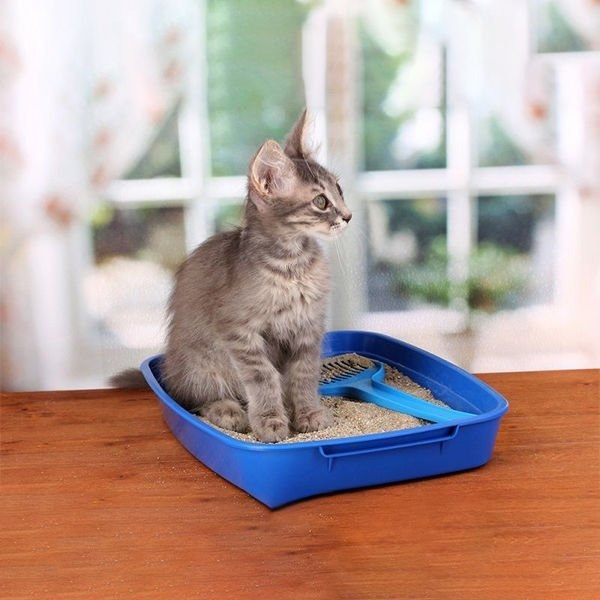 Biokat’s Micro Bianco Classic Kokusuz Topaklanan Doğal Kedi Kumu 6 Lt